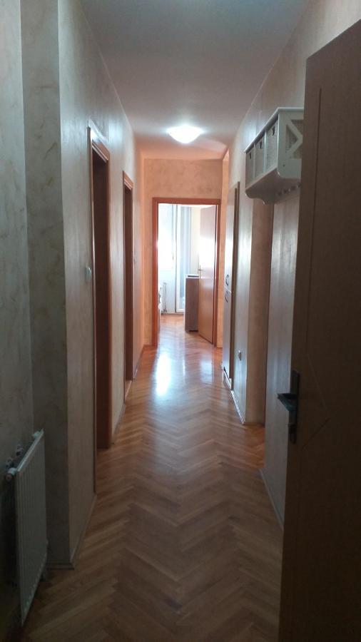 Apartman Anja Нови-Сад Экстерьер фото